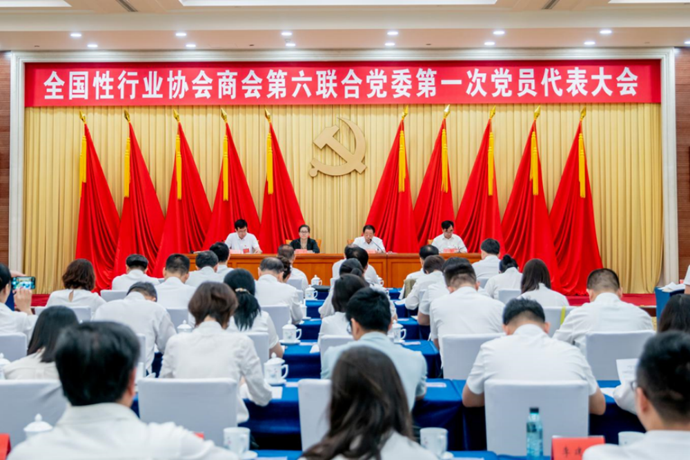 全國(guó)性行業(yè)協(xié)會(huì)商會(huì)第六聯(lián)合黨委第一次黨員代表大會(huì)勝利召開